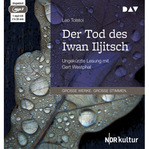 Leo N. Tolstoi - Der Tod des Iwan Iljitsch