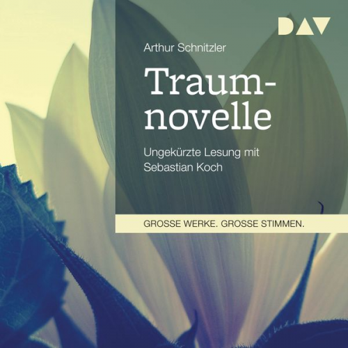 Arthur Schnitzler - Traumnovelle