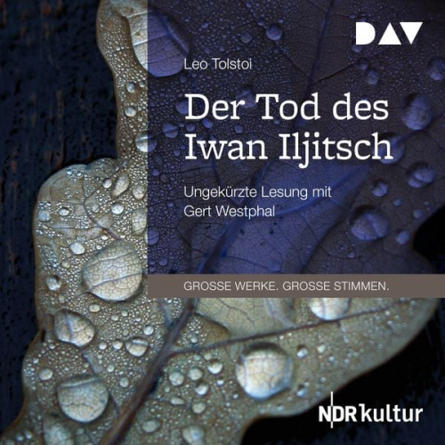 Leo N. Tolstoi - Der Tod des Iwan Iljitsch