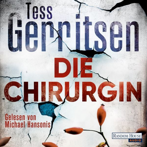 Tess Gerritsen - Die Chirurgin