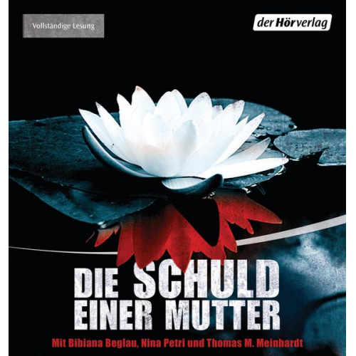 Paula Daly - Die Schuld einer Mutter