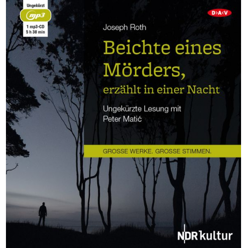 Joseph Roth - Beichte eines Mörders, erzählt in einer Nacht