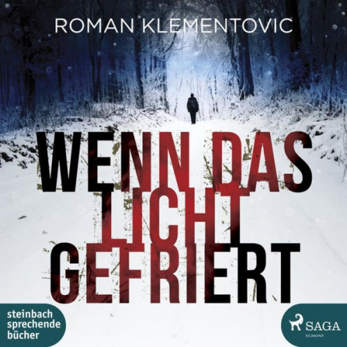 Roman Klementovic - Wenn das Licht gefriert