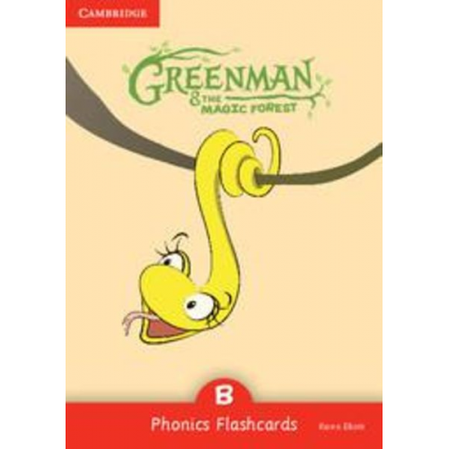 Karen Elliott - Greenman and the Magic Forest B Phonics Flashcards (Pack of 34)