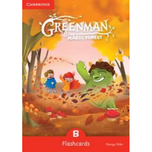 Marilyn Miller - Greenman and the Magic Forest B Flashcards (Pack of 48)