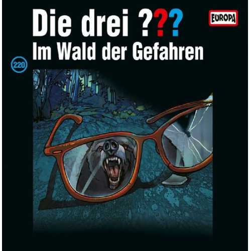 Die drei ??? - Der Wald der Gefahren, 2 Schallplatte