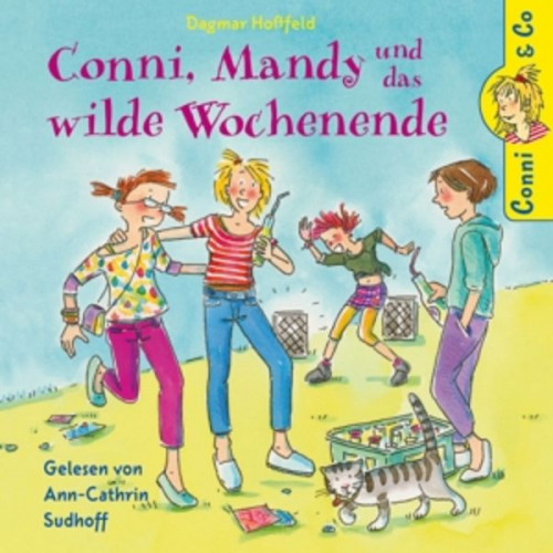 Conni & Co 13: Conni, Mandy und das wilde Wochenende