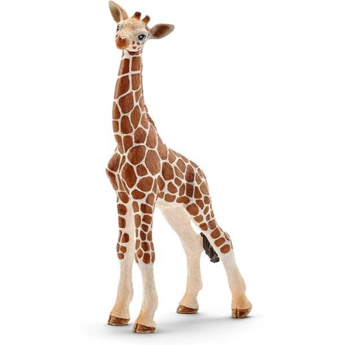 Schleich - Wild Life - Giraffenbaby