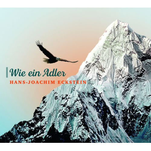 Hans-Joachim Eckstein - Wie ein Adler