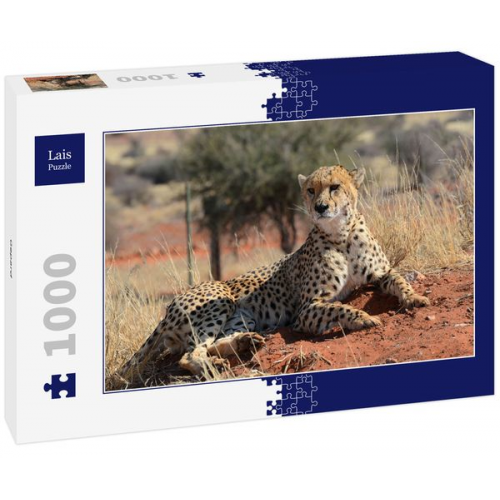 Lais Puzzle Gepard 1000 Teile