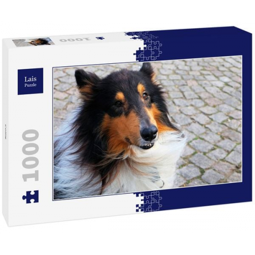 Lais Puzzle Collie 1000 Teile