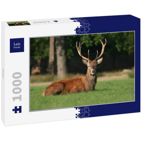 Lais Puzzle Hirsch 1000 Teile