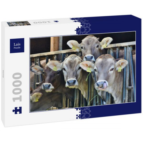 Lais Puzzle Kühe 1000 Teile