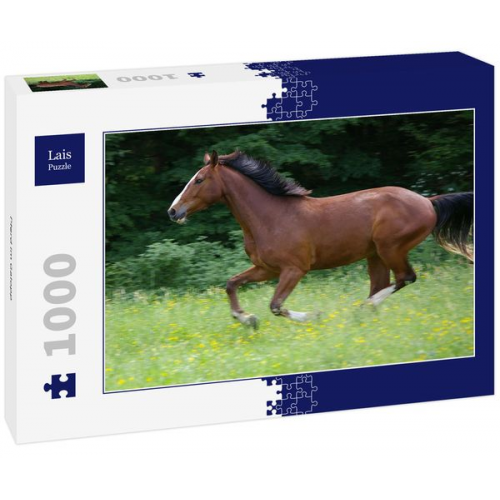 Lais Puzzle Pferd im Galopp 1000 Teile