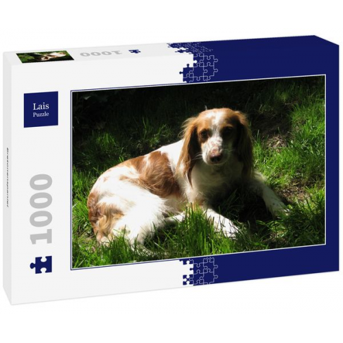 Lais Puzzle Bretonenspaniel 1000 Teile