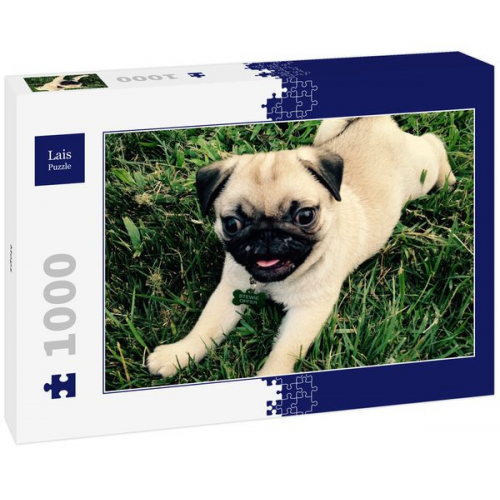 Lais Puzzle Mops 1000 Teile