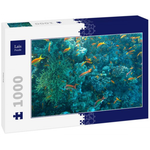 Lais Puzzle Fische 1000 Teile