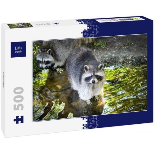 Lais Puzzle Waschbär 500 Teile