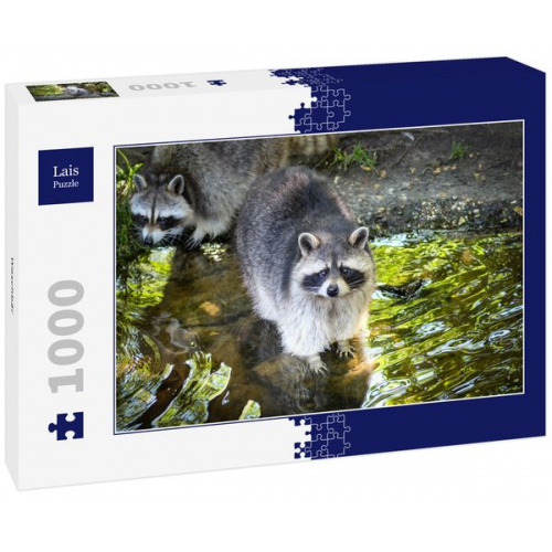 Lais Puzzle Waschbär 1000 Teile