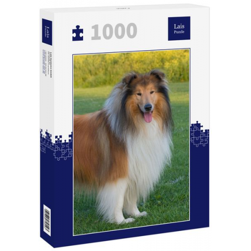 Lais Puzzle Collie 1000 Teile