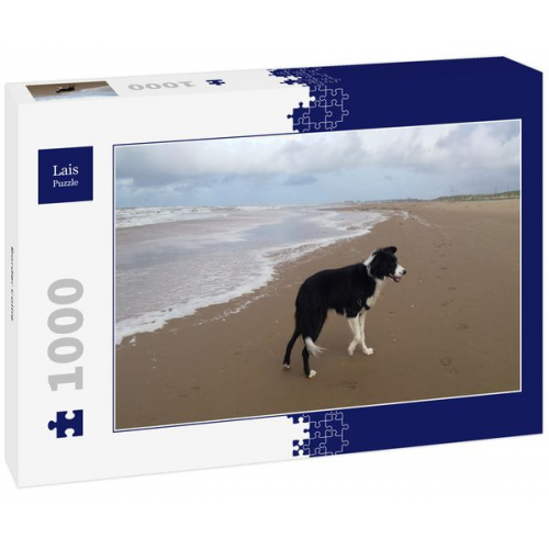 Lais Puzzle Border Collie 1000 Teile