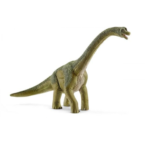 Schleich - Dinosaurs - Brachiosaurus