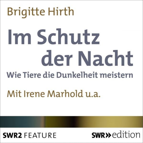 Brigitte Hirth - Im Schutz der Nacht