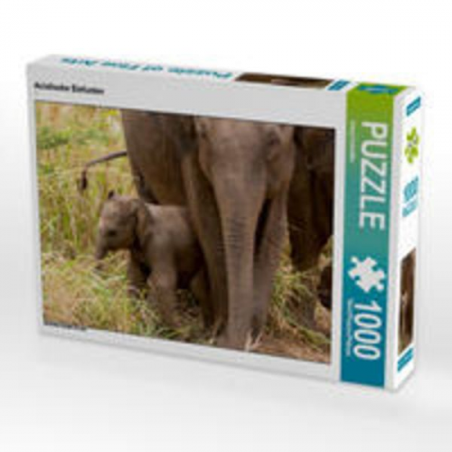 CALVENDO Puzzle Asiatische Elefanten 1000 Teile Lege-Größe 64 x 48 cm Foto-Puzzle Bild von Joerg Sobottka