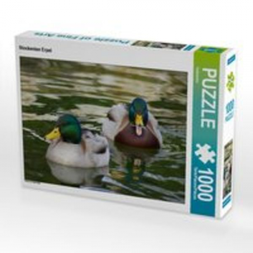 CALVENDO Puzzle Stockenten Erpel 1000 Teile Lege-Größe 64 x 48 cm Foto-Puzzle Bild von Kattobello