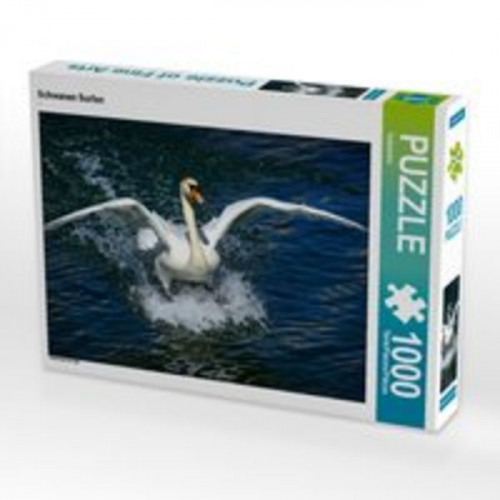 CALVENDO Puzzle Schwanen Surfen 1000 Teile Lege-Größe 64 x 48 cm Foto-Puzzle Bild von Kattobello