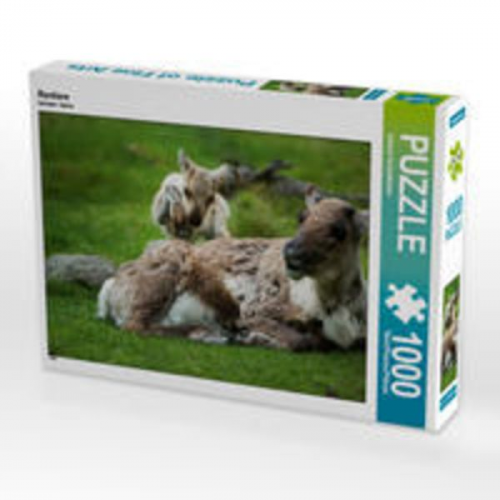 CALVENDO Puzzle Rentiere 1000 Teile Lege-Größe 64 x 48 cm Foto-Puzzle Bild von Johann Schörkhuber