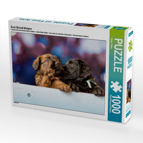 Zwei Briard-Welpen (Puzzle)