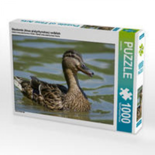 CALVENDO Puzzle Stockente (Anas platyrhynchos) weiblich 1000 Teile Lege-Größe 64 x 48 cm Foto-Puzzle Bild von kattobello