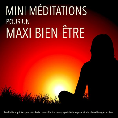 Patrick Lynen - MINI méditations pour un MAXI bien-être