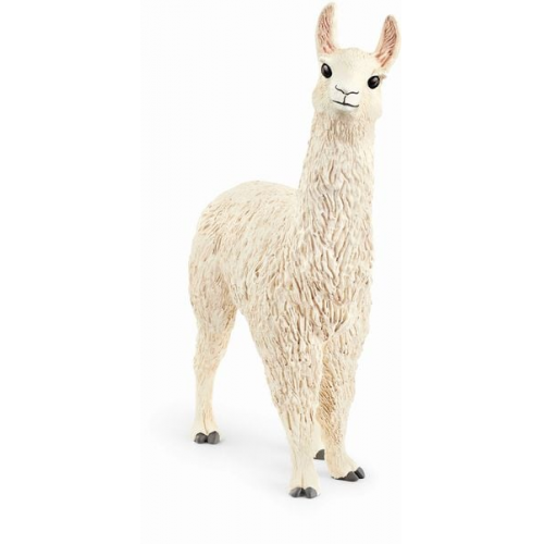 Schleich - Farm World - Lama