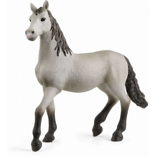 Schleich - Horse Club - Pura Raza Espanola Jungpferd