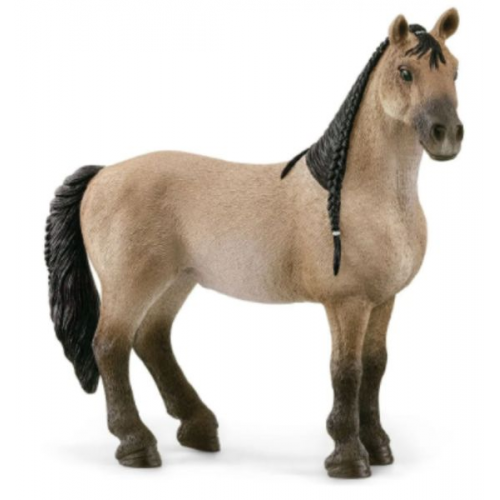 Schleich - Horse Club - Criollo Definitivo Stute