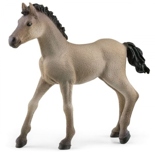 Schleich - Horse Club - Criollo Definitivo Fohlen