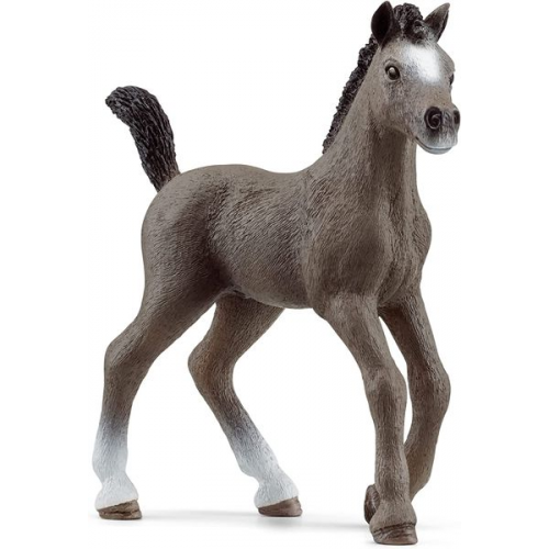 Schleich - Horse Club - Cheval de Selle Francais Fohlen