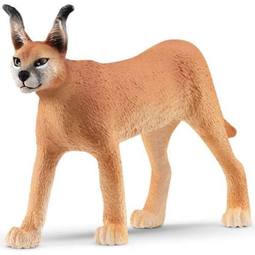 Schleich - Wild Life - Karakal Weibchen