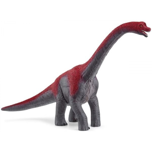 Schleich - Dinosaurs - Brachiosaurus