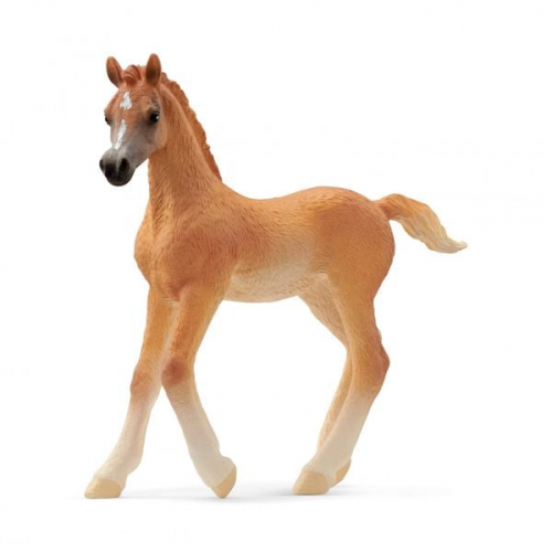 Schleich - Horse Club - Araber Fohlen