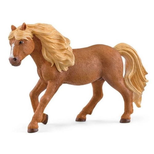 Schleich 13943 - Horse Club, Islandpony Hengst, Pferd Tierfigur, Länge: 13,4 cm