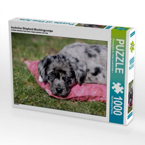 Australian Shepherd Mischlingswelpe (Puzzle)