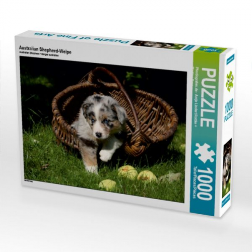 Australian Shepherd-Welpe (Puzzle)