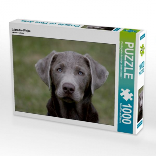 Labrador-Welpe (Puzzle)