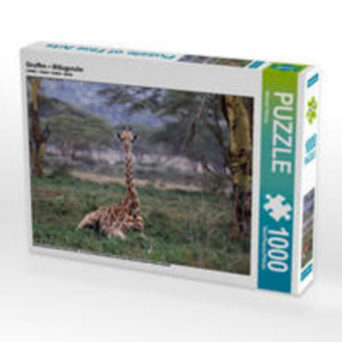 CALVENDO Puzzle Giraffen - Mittagsruhe 1000 Teile Lege-Größe 64 x 48 cm Foto-Puzzle Bild von Michael Herzog