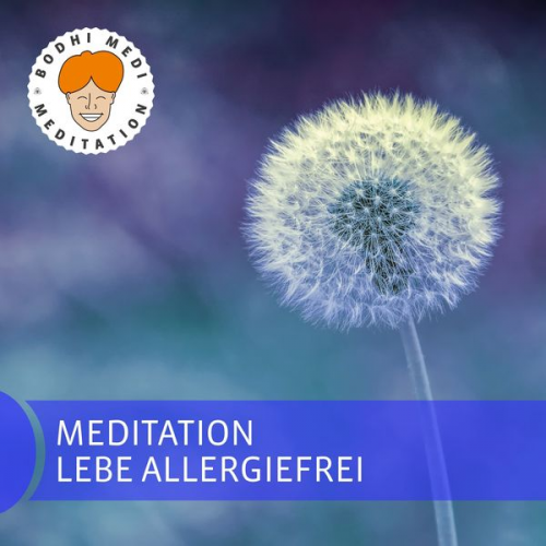 Ralph Engeler - Meditation lebe allergiefrei