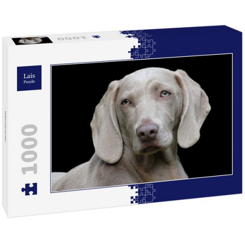 Lais Puzzle Weimaraner 1000 Teile