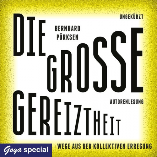 Bernhard Pörksen - Die große Gereiztheit. Wege aus der kollektiven Erregung